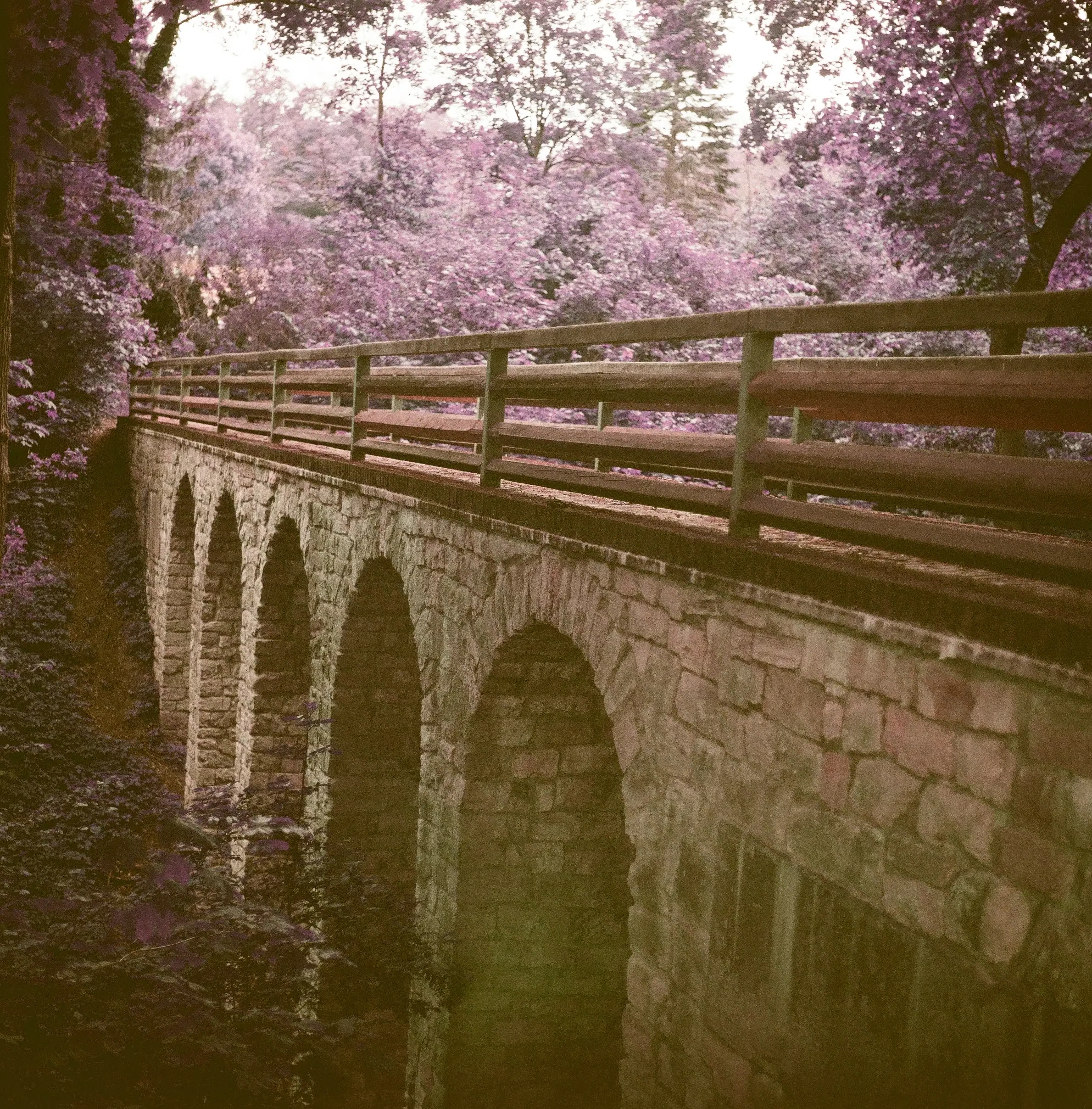 The devils bridge 